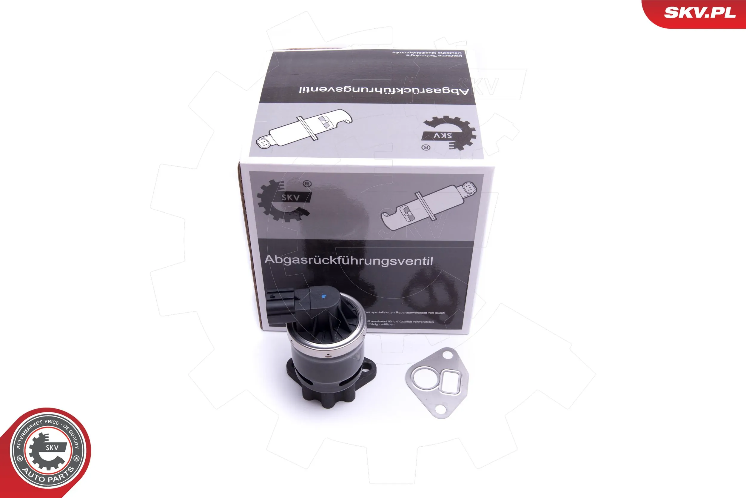EGR Valve